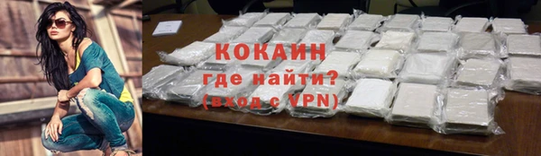 гашик Нея