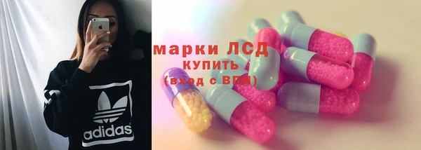 гашик Нея