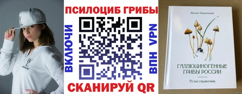 Псилоцибиновые грибы мухоморы  дарнет шоп  Туапсе 