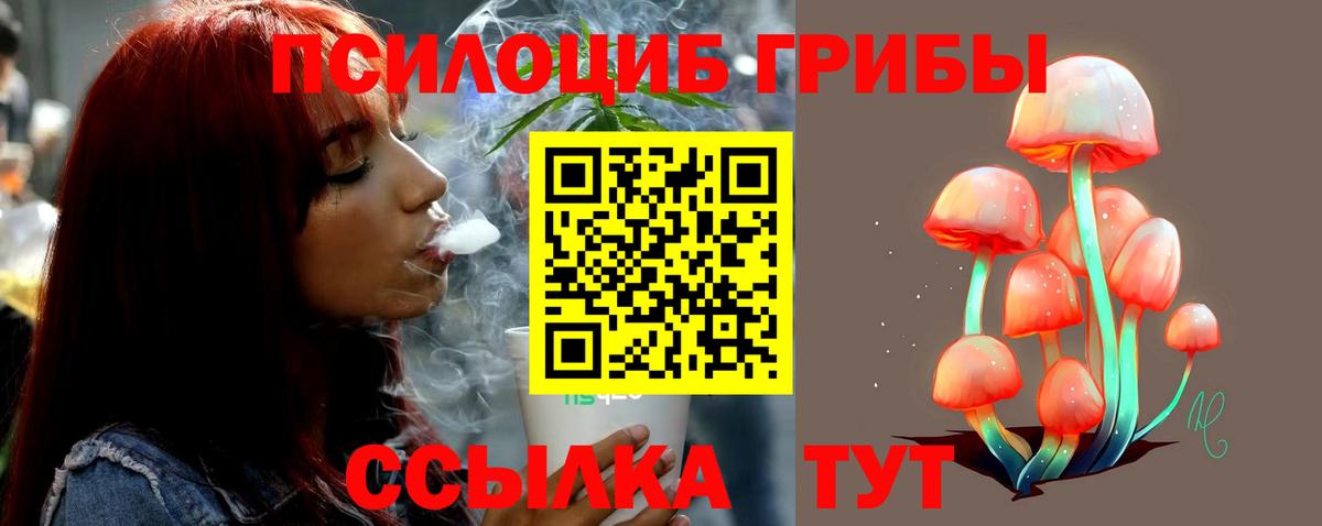 Псилоцибиновые грибы GOLDEN TEACHER Туапсе